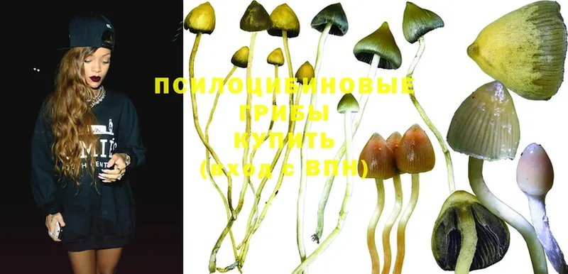 Псилоцибиновые грибы Magic Shrooms  наркошоп  Верхний Тагил 